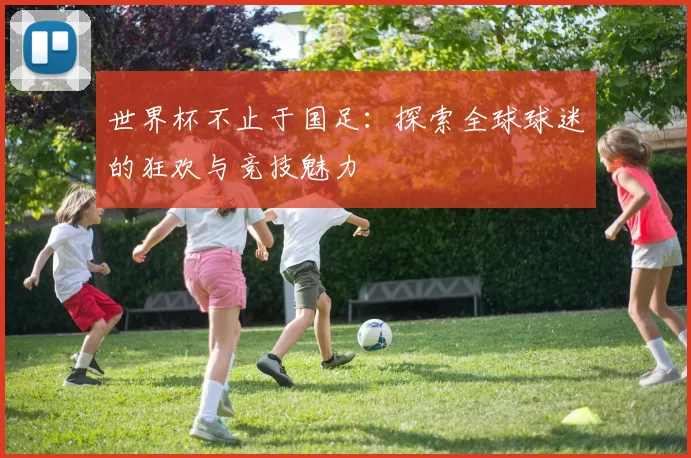 世界杯不止于国足：探索全球球迷的狂欢与竞技魅力