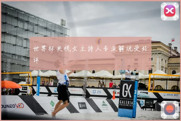 世界杯央视女主持人专业解说受好评