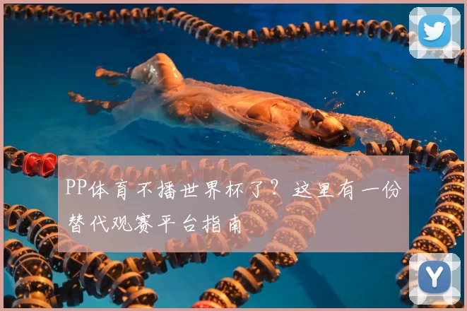 PP体育不播世界杯了？这里有一份替代观赛平台指南