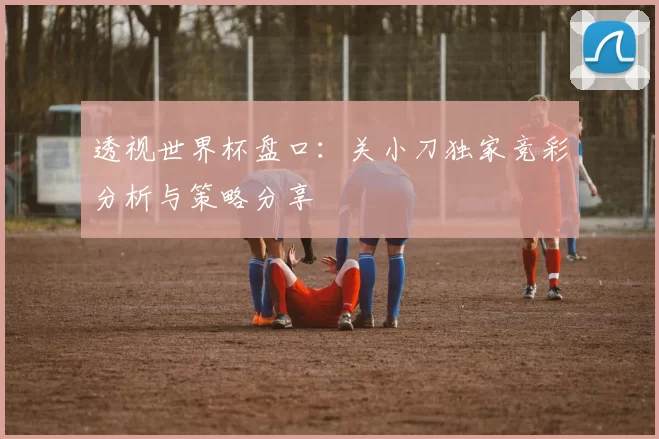 透视世界杯盘口:关小刀独家竞彩分析与策略分享