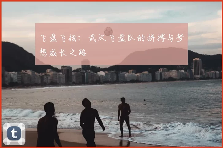 飞盘飞扬:武汉飞盘队的拼搏与梦想成长之路