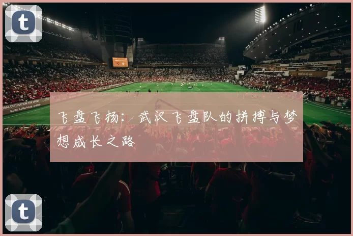 飞盘飞扬:武汉飞盘队的拼搏与梦想成长之路