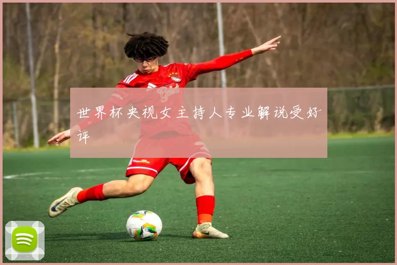 世界杯央视女主持人专业解说受好评