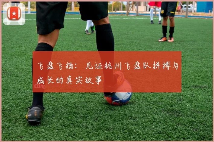 飞盘飞扬:见证杭州飞盘队拼搏与成长的真实故事